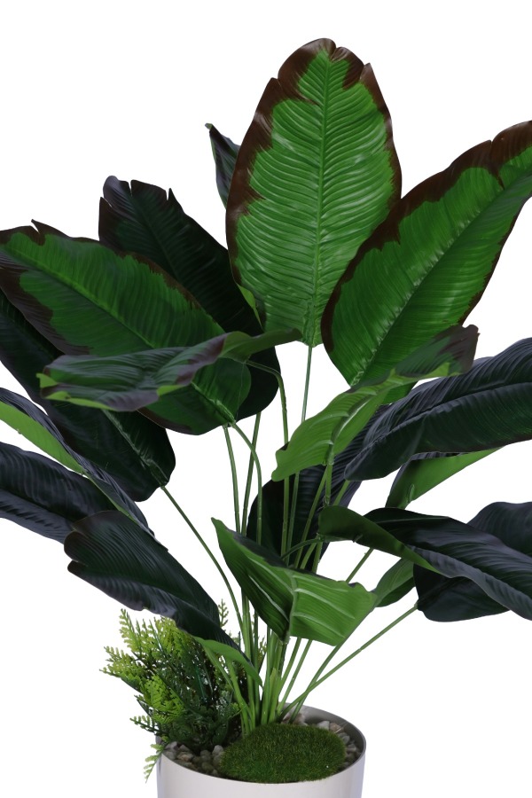 Yapay Mini Muz Tanzimi 65 cm - 2