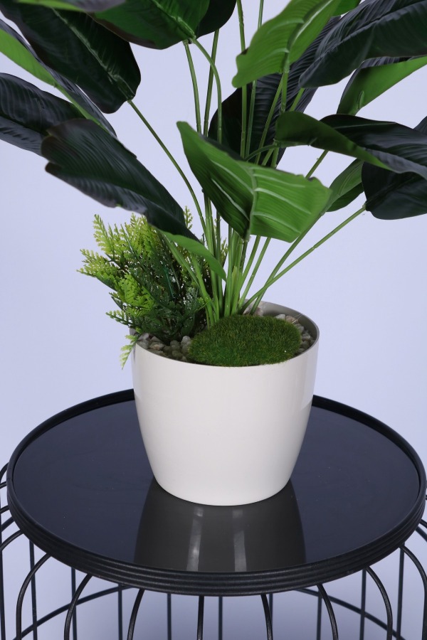 Yapay Mini Muz Tanzimi 65 cm - 3