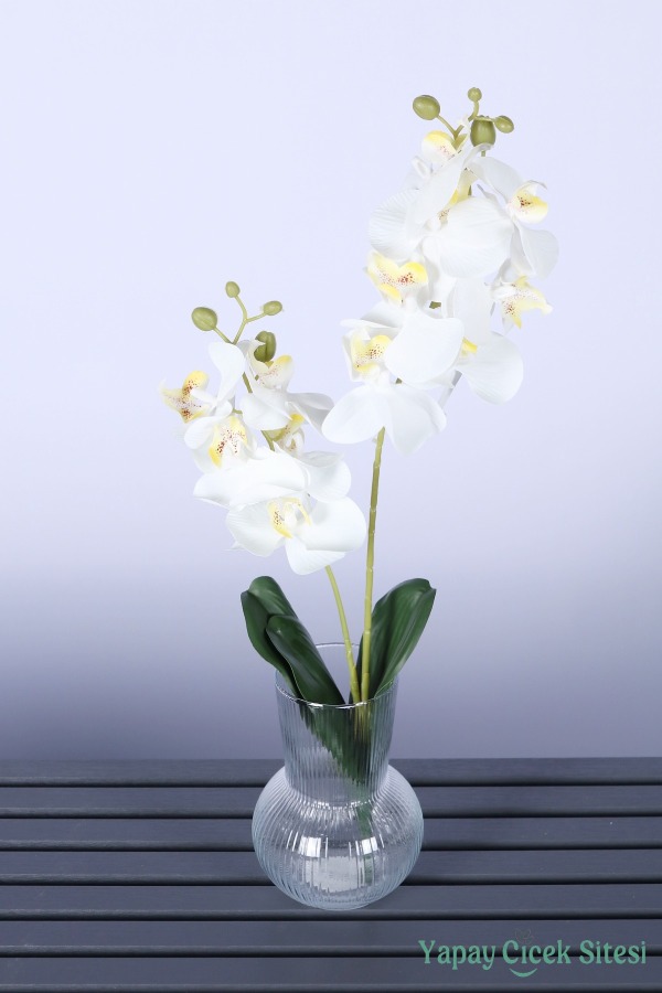 Yapay Yapraklı 2 Dal Islak Orkide Çiçeği Beyaz 55 Cm - 1