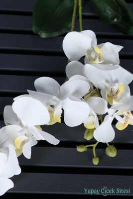 Yapay Yapraklı 2 Dal Islak Orkide Çiçeği Beyaz 55 Cm - 2