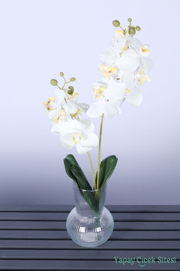 Yapay Yapraklı 2 Dal Islak Orkide Çiçeği Beyaz 55 Cm - 4